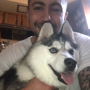 Meet your Posher, Justin